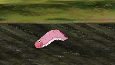 粉红色的蠕虫爬行隐藏了地面